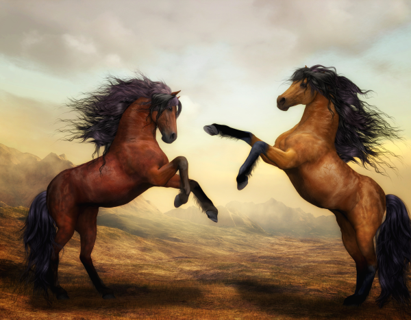 앞발을 들고 싸우는 말