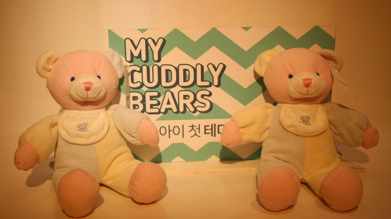teddy bear