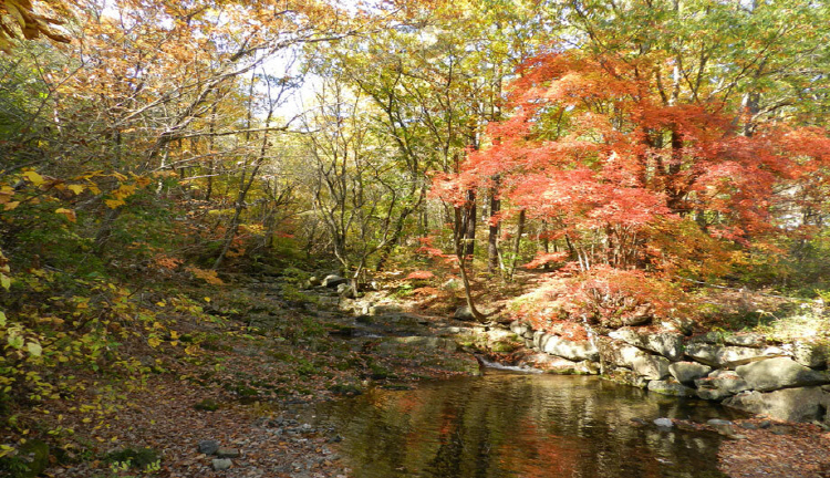 산음 자연휴양림