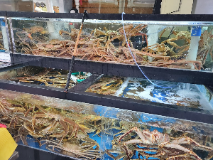 교동대게