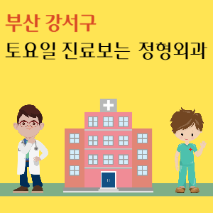 부산 강서구 토요일 정형외과 진료 병원 추천
