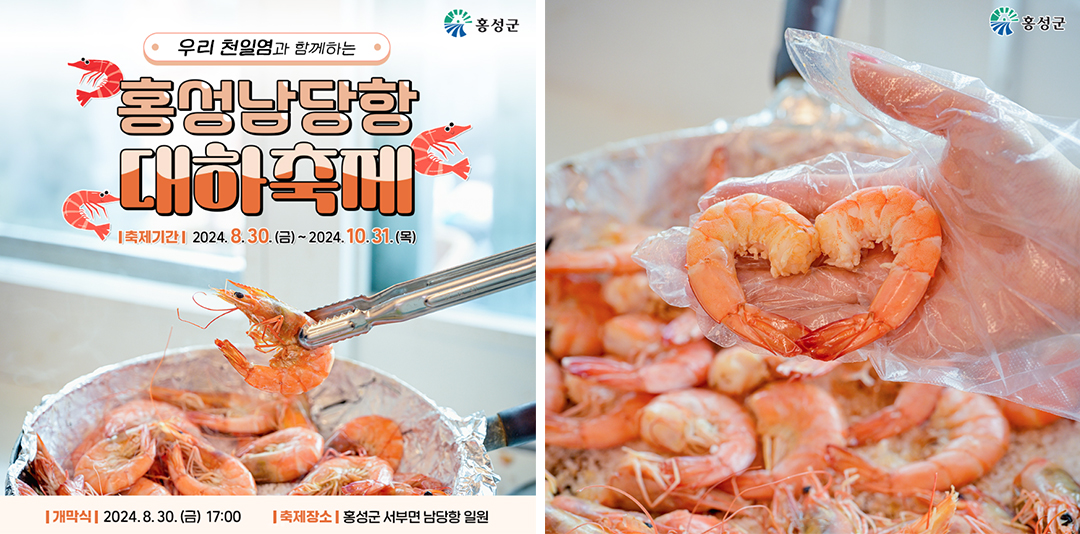 #가을국내여행 #가을여행 #홍성여행 #대하축제 #가을대하 #홍성남당항 #남당항