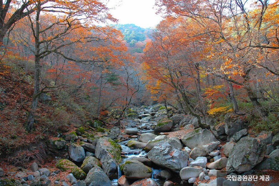 가을 여행지 단풍 추천장소 _ 속리산, 팔공산, 가야산, 지리산, 한라산 국립공원