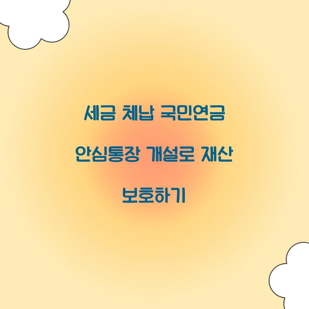 세금 체납 국민연금 안심통장