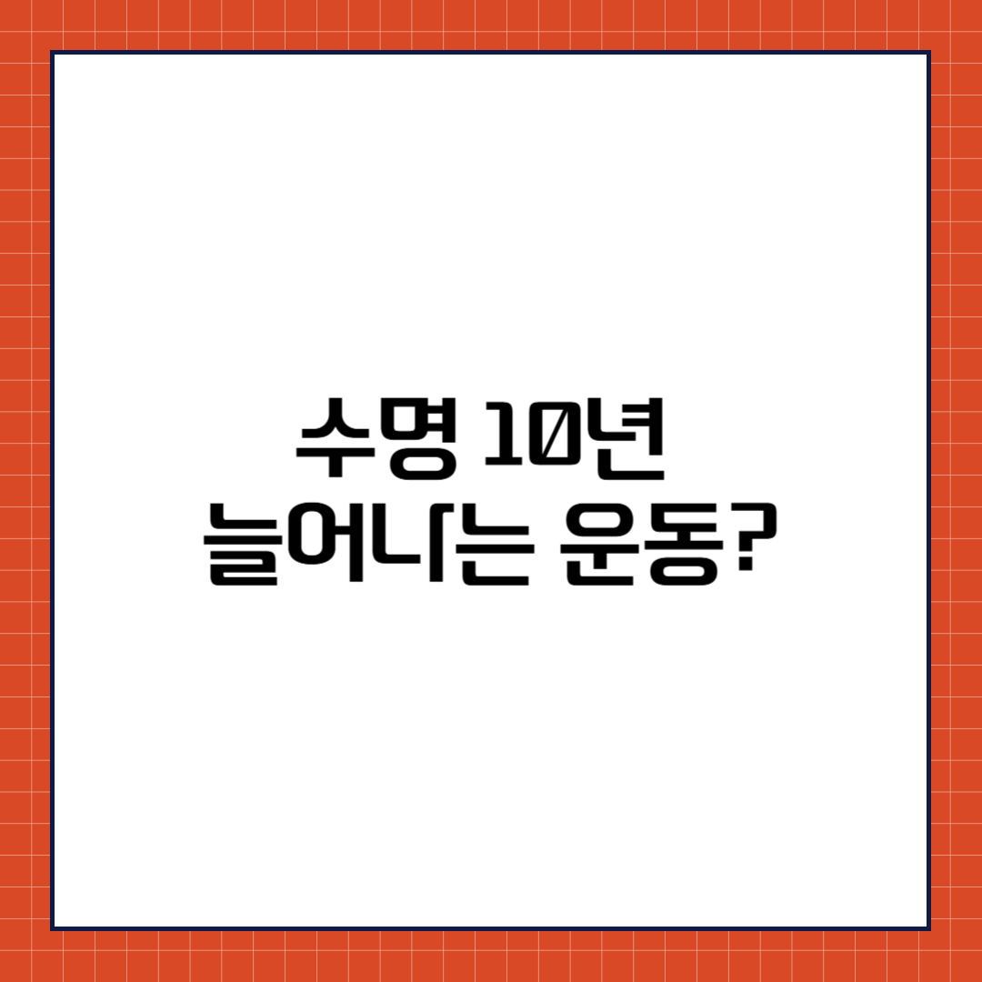 라켓 스포츠