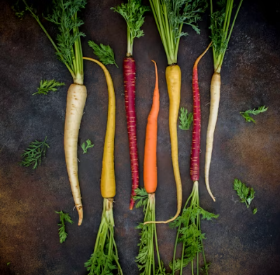 용종제거 보험청구 서류 실비보험 용종제거후 식사 음주 음식