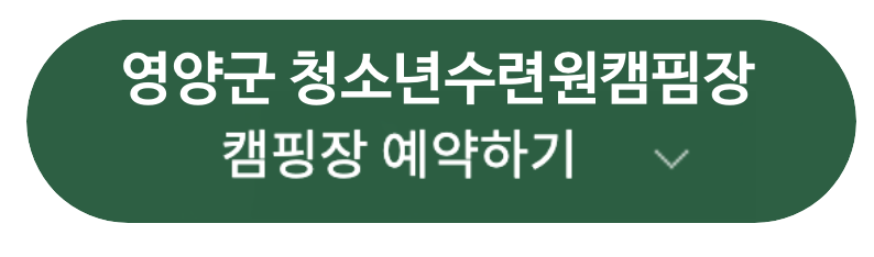 영양군 청소년수련원캠핌장 관련 사진