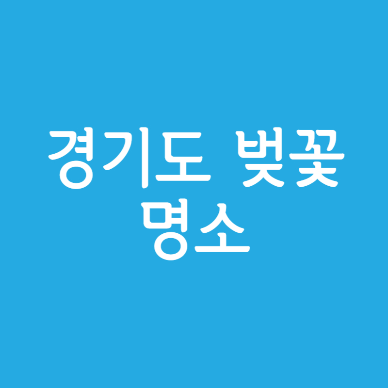 경기도 벚꽃 명소