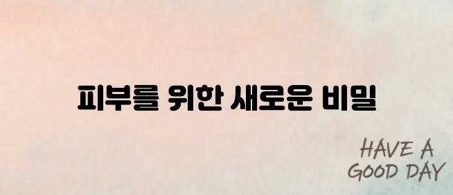 피부관리 루틴과 저자극 스킨케어 제품