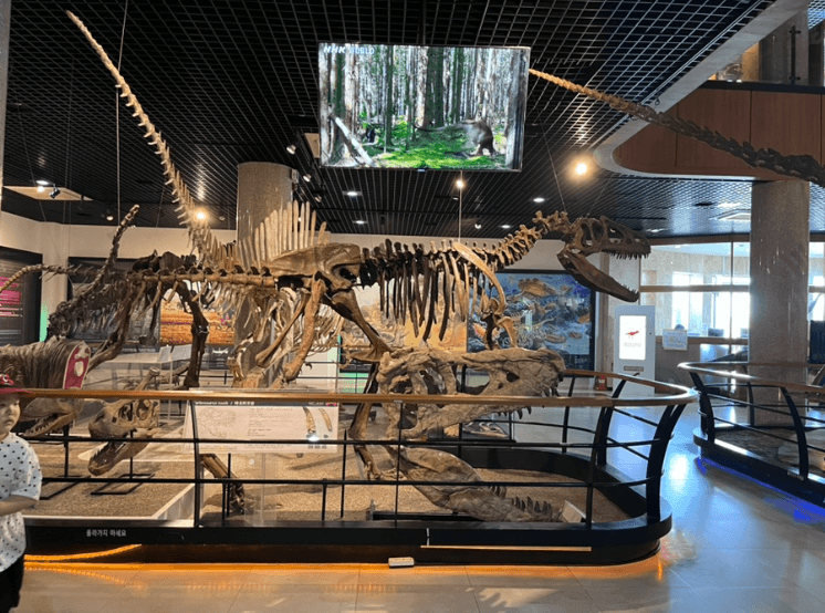 안면도-쥬라기박물관