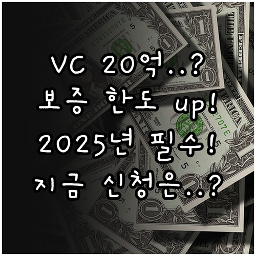 VC 20억 투자 기업을 위한 202..