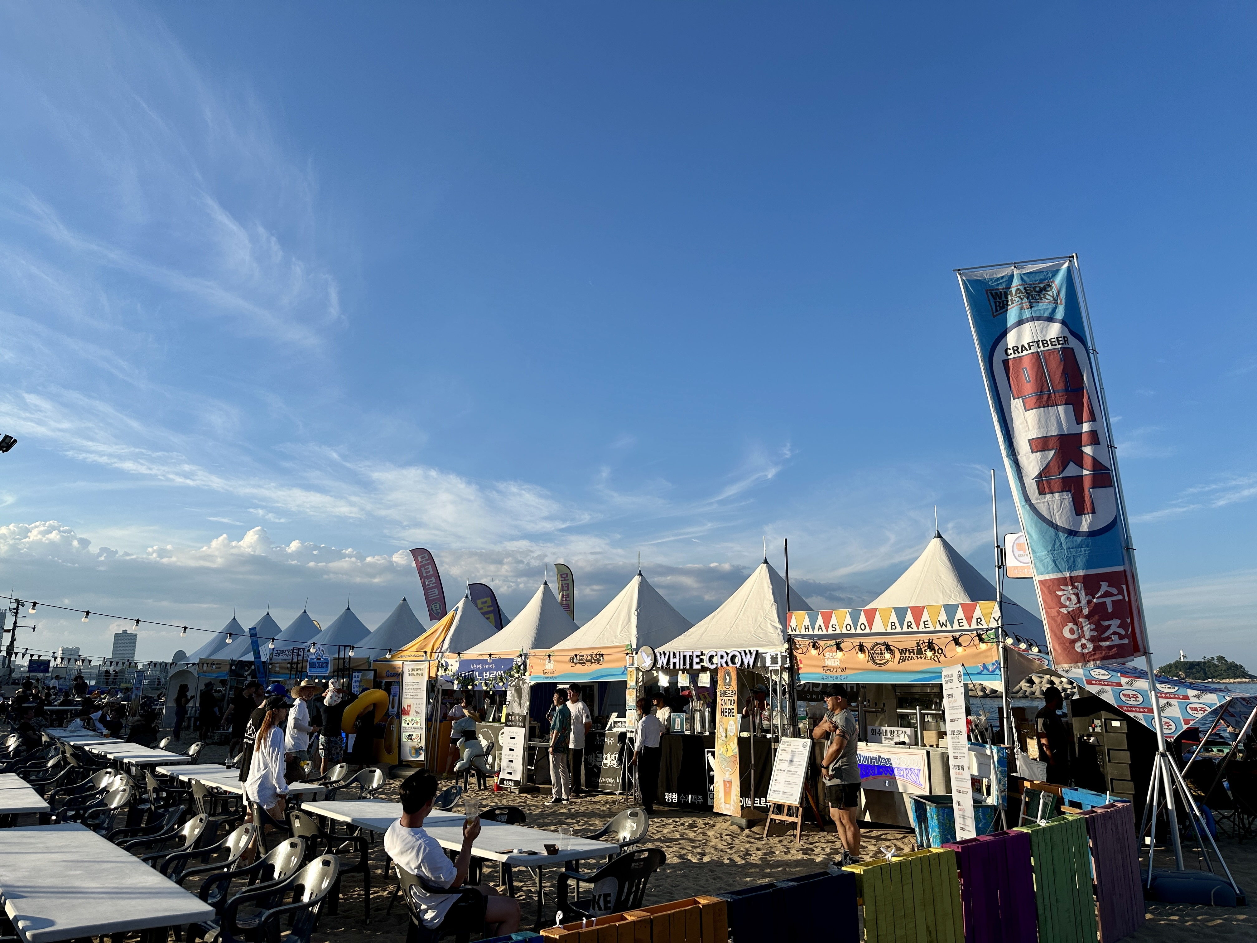 속초 해수욕장 맥주 축제 참가업체