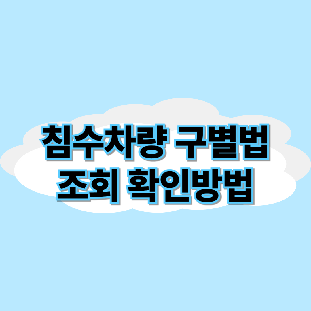 침수차량 구별법, 조회, 확인방법