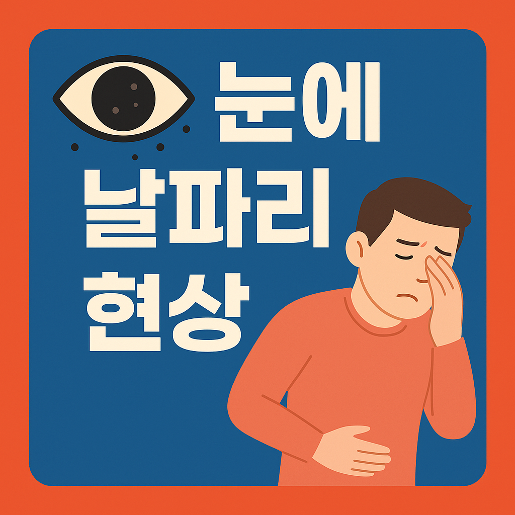 눈에 날파리 현상
