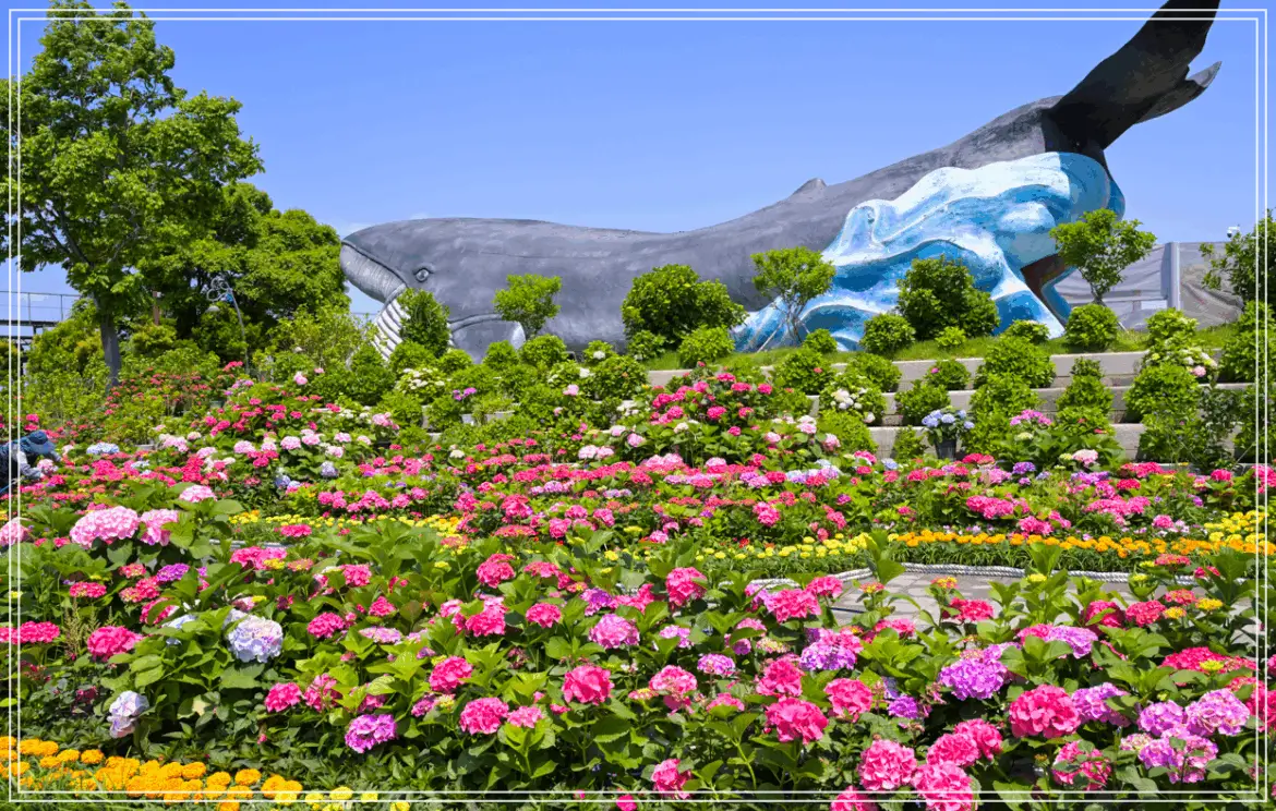 capture-20250620-224446