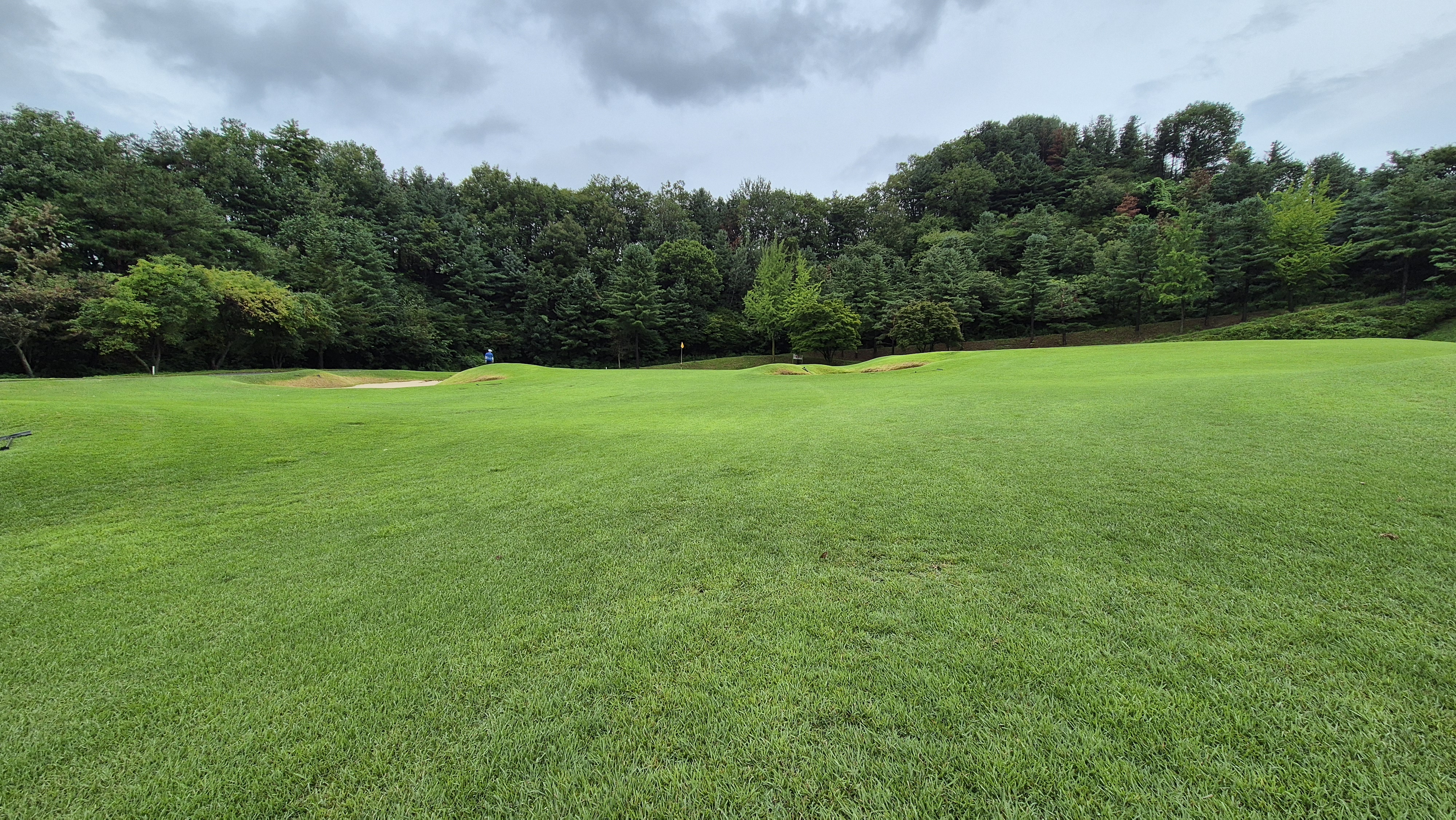 뉴서울cc 예술in-문화in 코스 사진 및 공략 정보