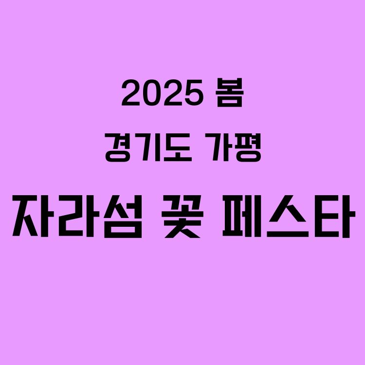 2025 자라섬 꽃 페스타 ❘ 위치, 주차장, 무료전기차운행, 선박운항정보, 체험프로그램