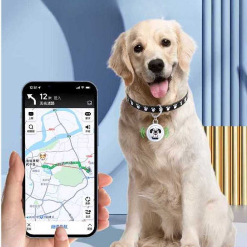 반려동물과 위치추적기 핸드폰의 결합 사진