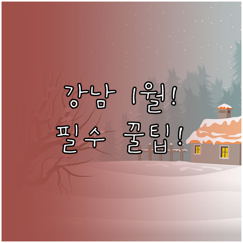 매서운 추위 걱정 끝! 1월 강남 실..