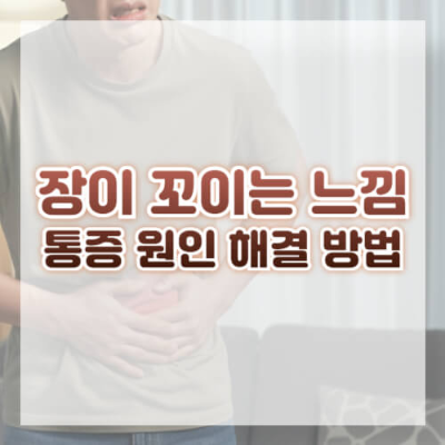 배 당기는 통증
장이 꼬인 것 같은 통증
배 복통 원인
배 복통 치료
장 폐색 증상
과민성 대장 증후군 통증
맹장염 초기 증상
소화불량 원인과 해결
여성 생리통 통증
복부 대동맥류 위험