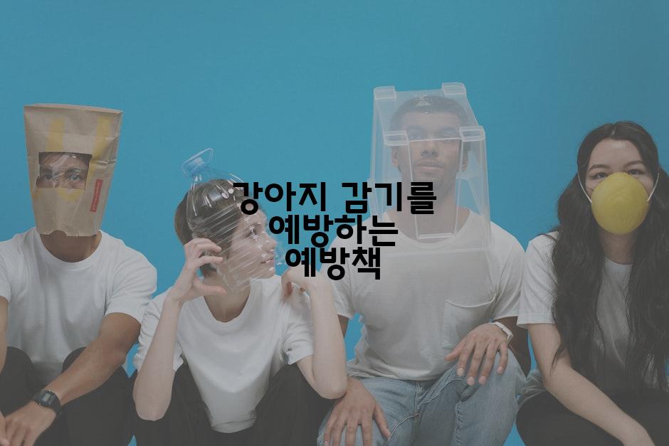 강아지 감기를 예방하는 예방책