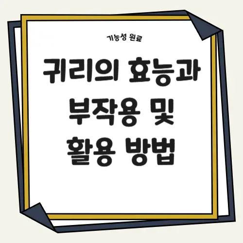 귀리의 효능과 부작용 및 활용 방법