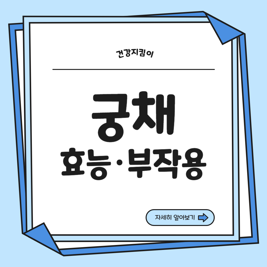 궁채 효능 부작용 나물 고르는법 칼로리