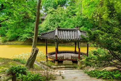 창덕궁후원