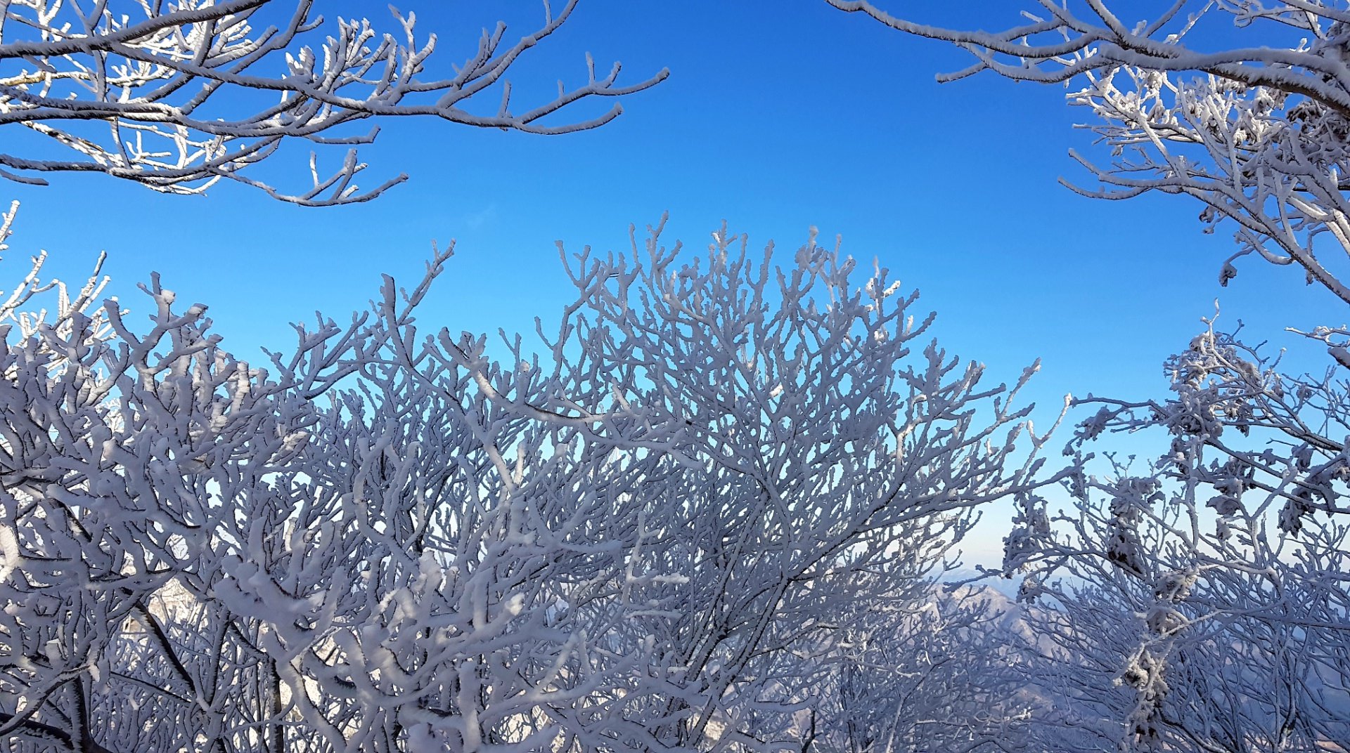 울산 가지산18 설경과 상고대
