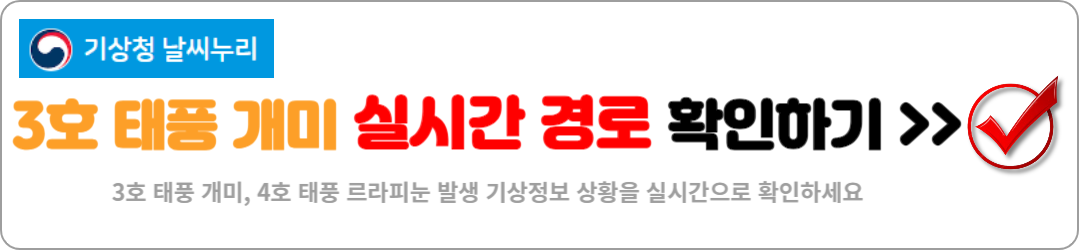 2024년 3호 태풍 개미 실시간 경로 확인! 한반도 상륙 가능성은?