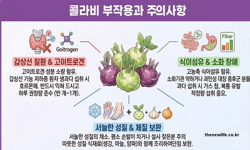 콜라비 효능과 주의해야 할 부작용 안내 이미지