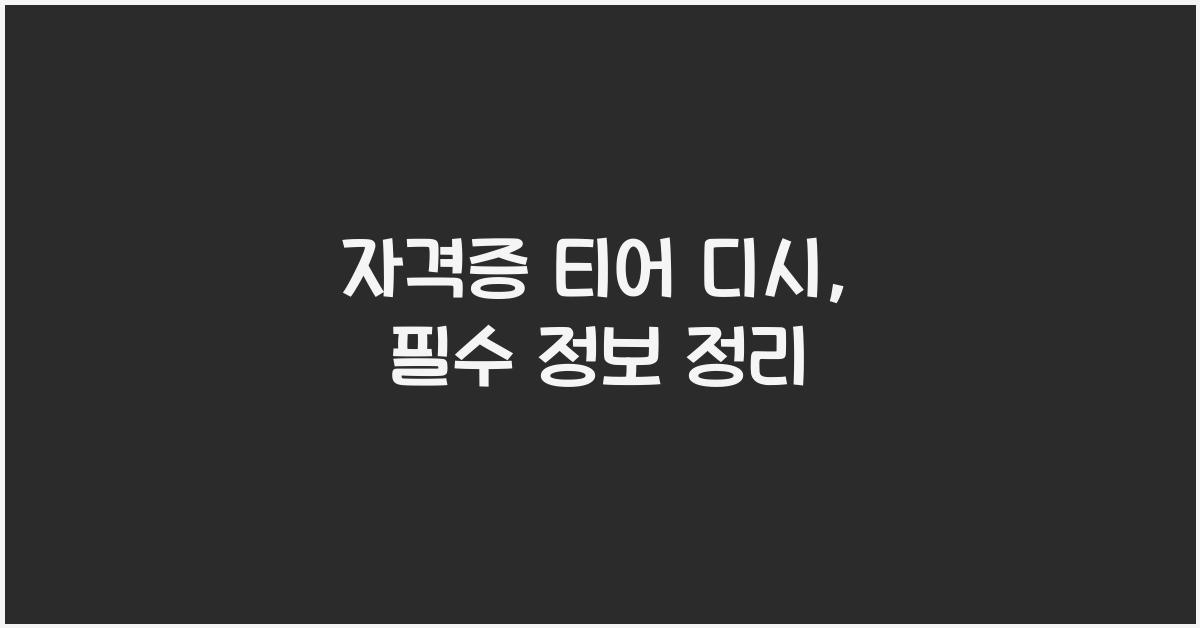 자격증 티어 디시