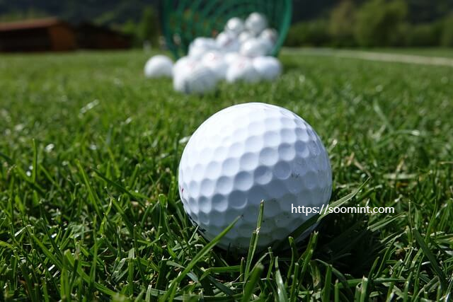 SBS 골프 생방송 모바일 생중계 PGA LPGA KLPGA 중계 하이라이트채널번호 경기일정 말없는 중계