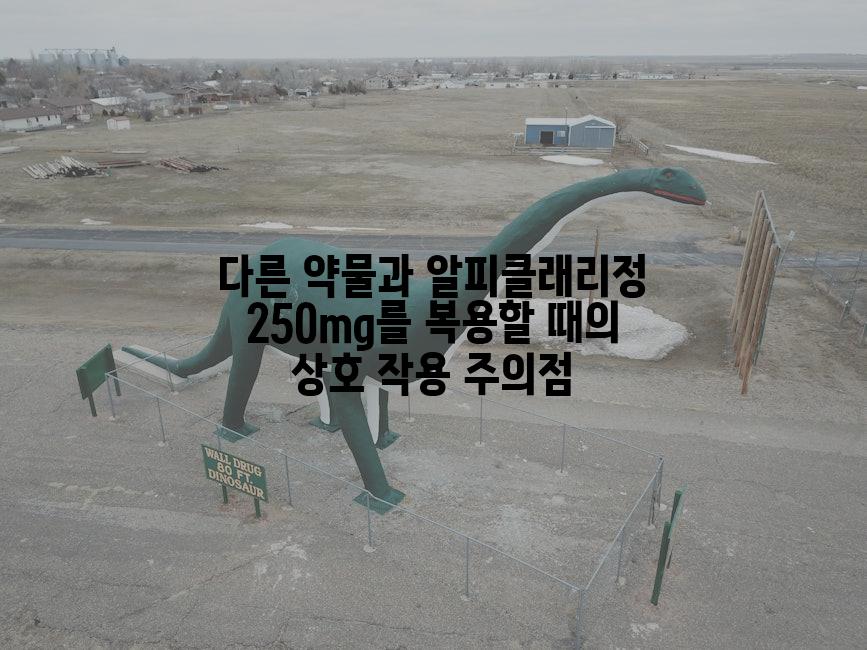 다른 약물과 알피클래리정 250mg를 복용할 때의 상호 작용 주의점