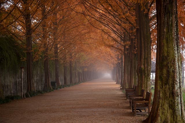숨겨진 작은 도시의 모습과 사진 전시