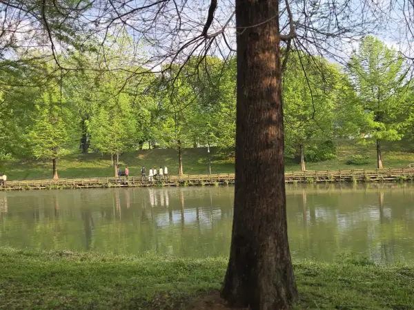 담양 대나무 축제 죽녹원