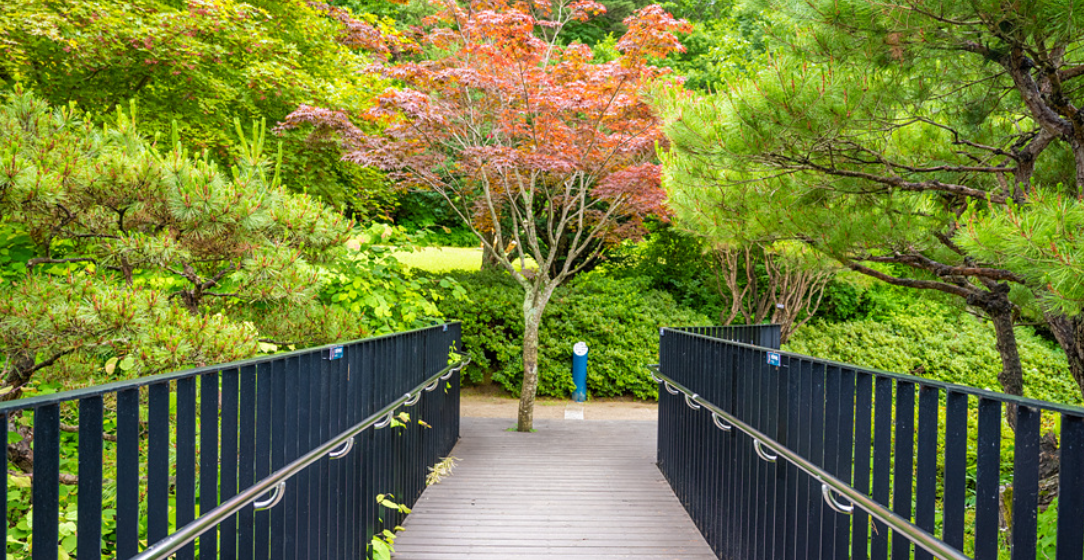 강원도 국립수목원