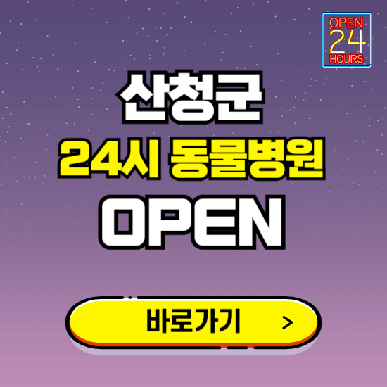 산청군 24시 동물병원 진료하는 곳 ❘ 설날 휴일 야간 심야 문여는곳 찾기 ❘ 응급진료