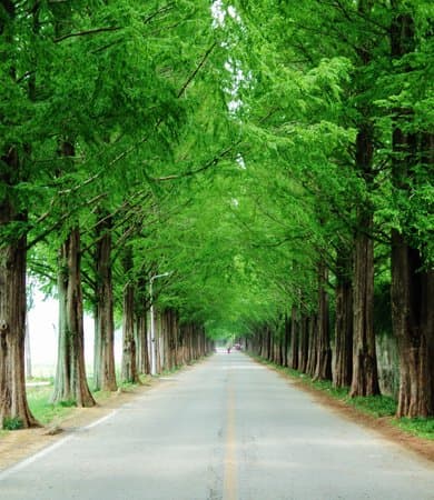 국내 여름 배낭여행 추천 TOP 3 - 위치부터 숙소예약까지