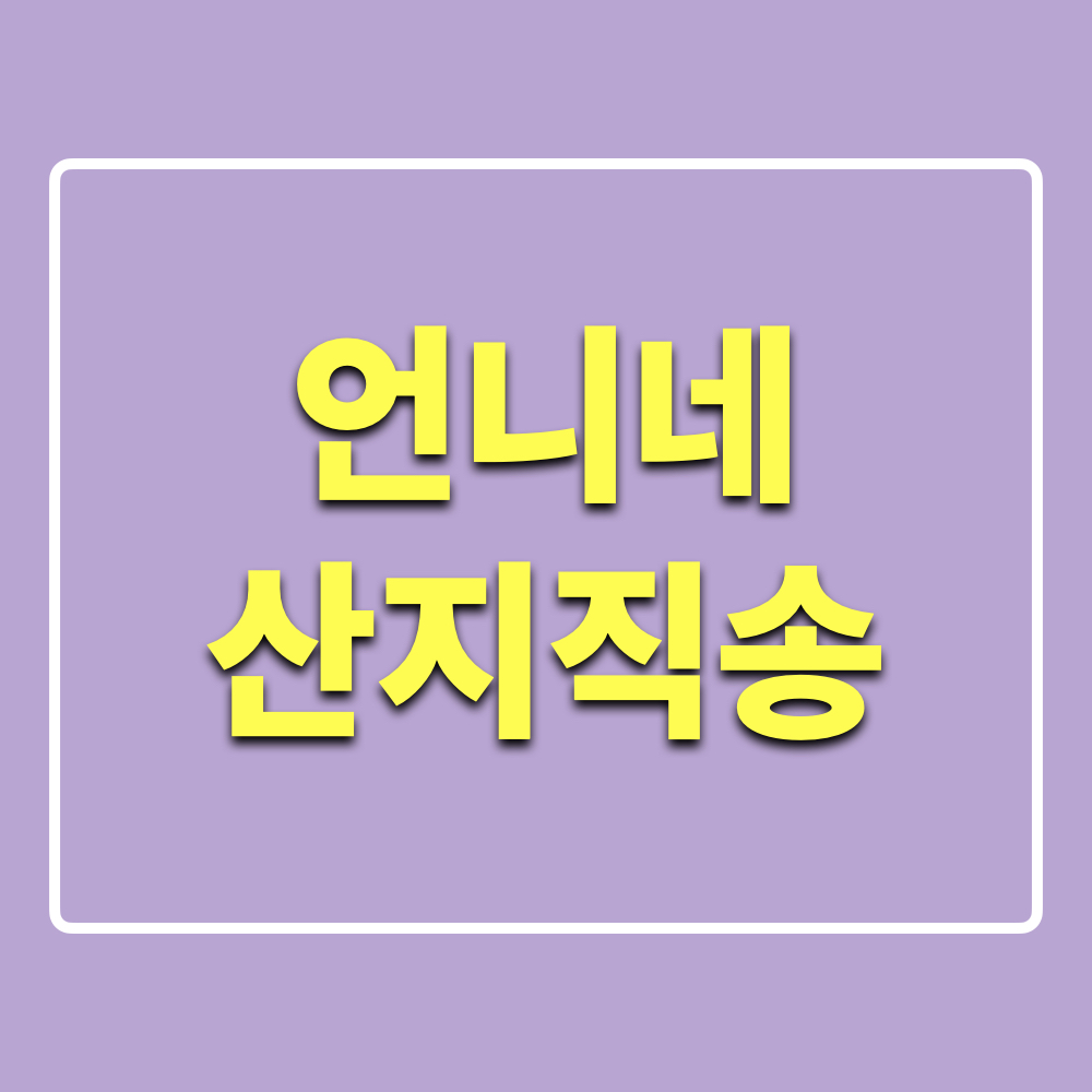 언니네산지직송