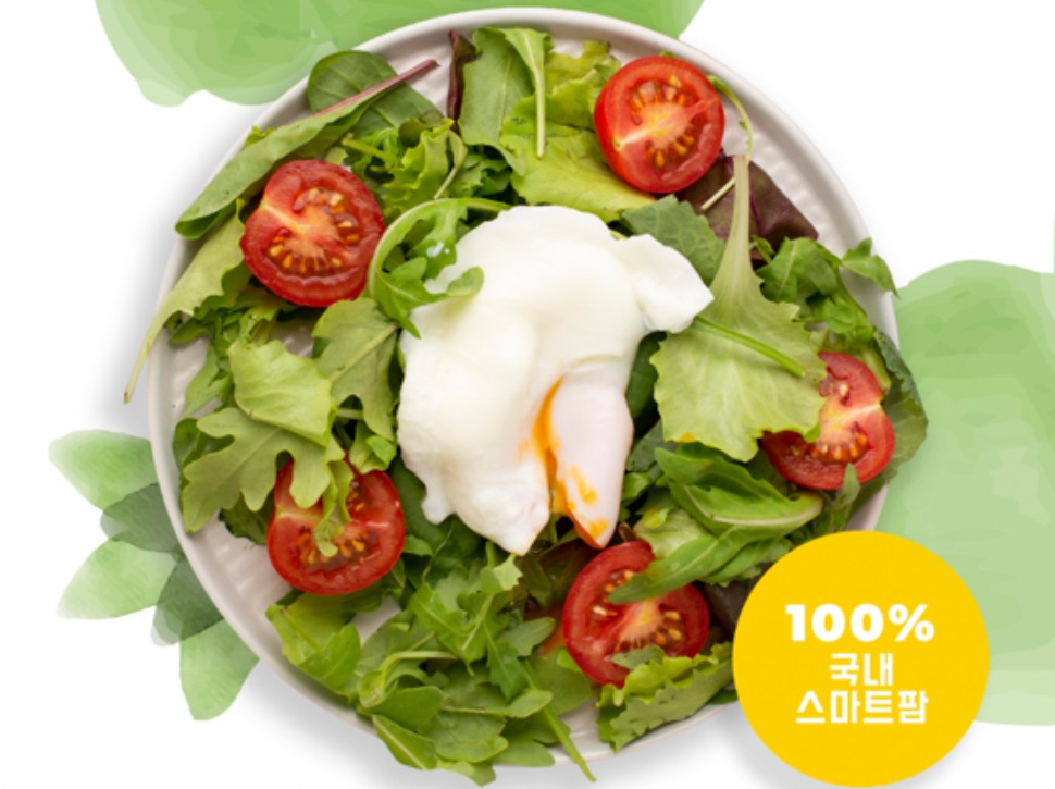 6시내고향 부여 미니코스 샐러드