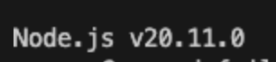 node version