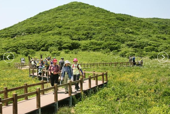 곰배령 예약하기