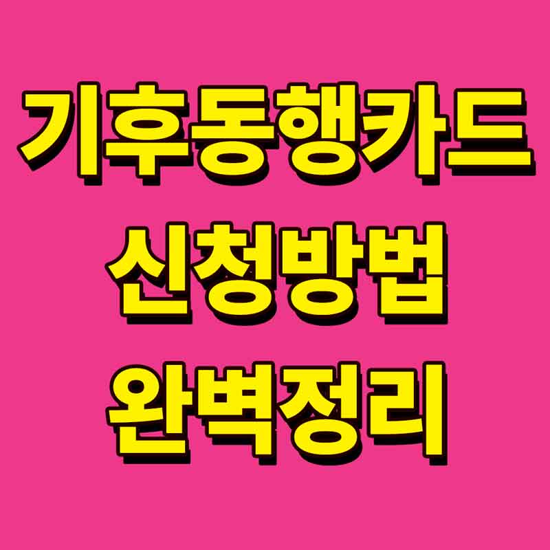 기후동행카드