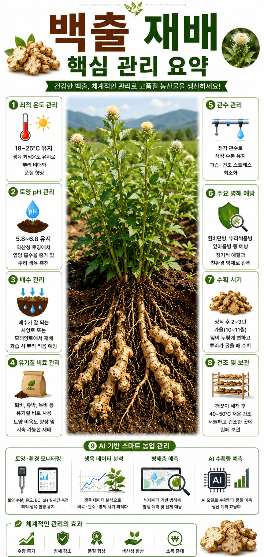 백출재배 인포그래픽