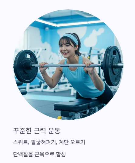 꾸준한 운동