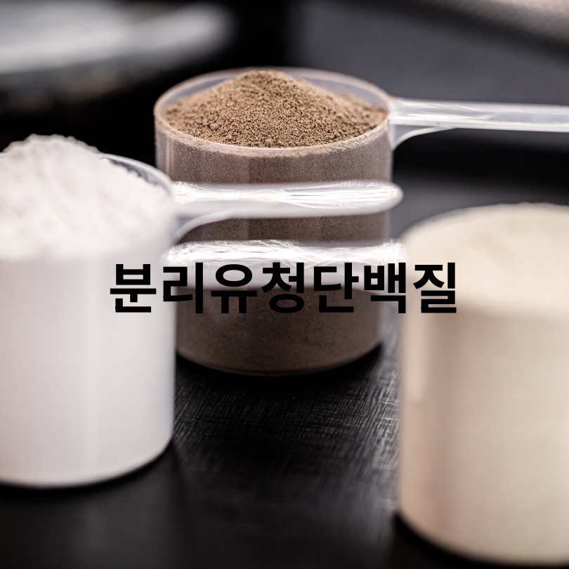 60대 단백질 보충제 추천! 