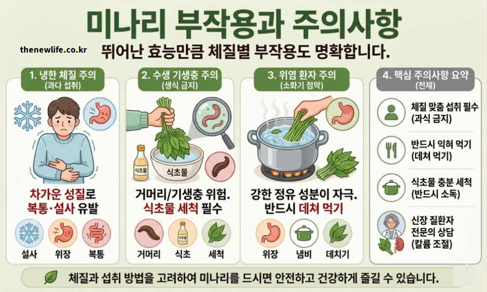 미나리 효능 부작용