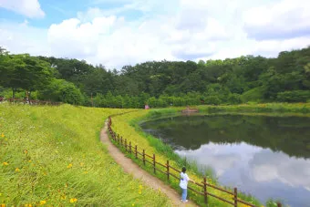 6월 국내여행 추천지 BEST 7곳 지금 떠나기 딱 좋은 완벽한 힐링 명소 총정리_24