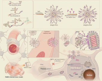 광견병 정밀 치료의 미래